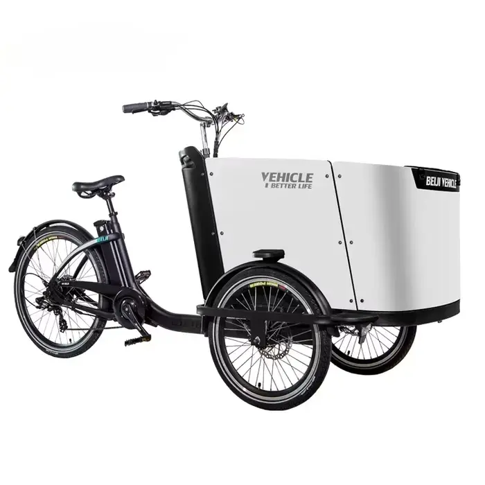 Vélo cargo électrique avec assistance électrique, tricycle à 3 roues, 7 vitesses, frein à disque hyd