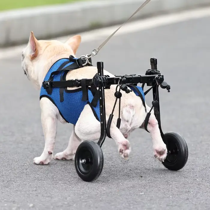Chariot de fauteuil roulant pour animaux de compagnie