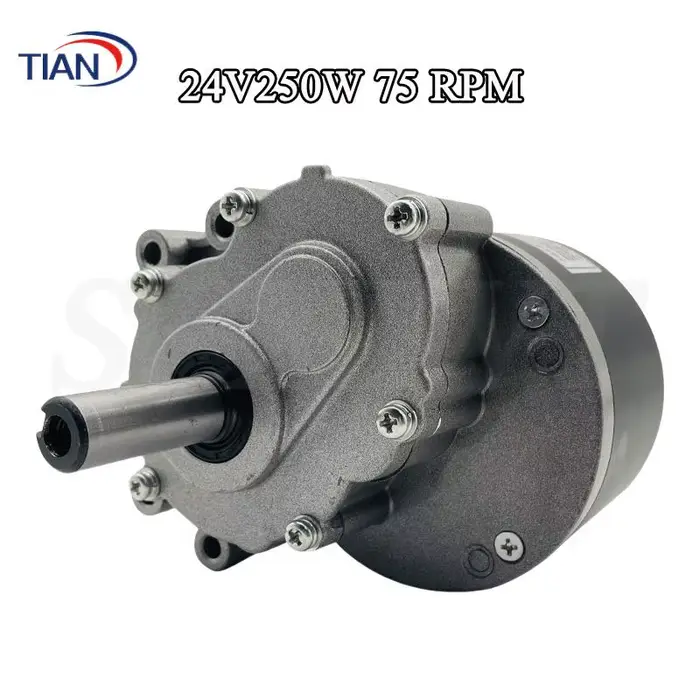 Moteur brossé DC 24V pour fauteuils roulants électriques, remplacement, couple élevé 75/120/160 tr/m