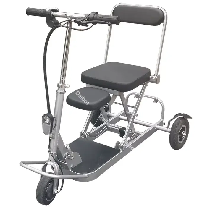 Famille pliante 3 roues 2 places Scooter de mobilité personnes âgées léger pour voyage 250W 36V Tric