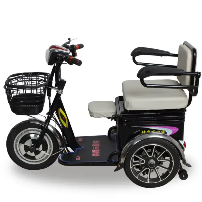 Tricycle Cargo Électrique à 3 Roues pour Adulte et Enfant, Bicyclette Légère de 48V avec Siège Arriè