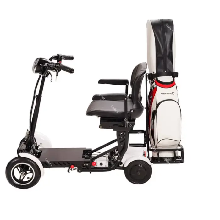 Scooter électrique de Golf à 4 roues pour adultes, double moteur pliable, 250W x 2, 36V, 10 pouces, 