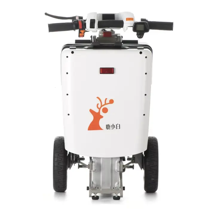 Mini Tricycle Électrique Pliable et observateur à 3 Roues pour Adultes et Personnes handicapées