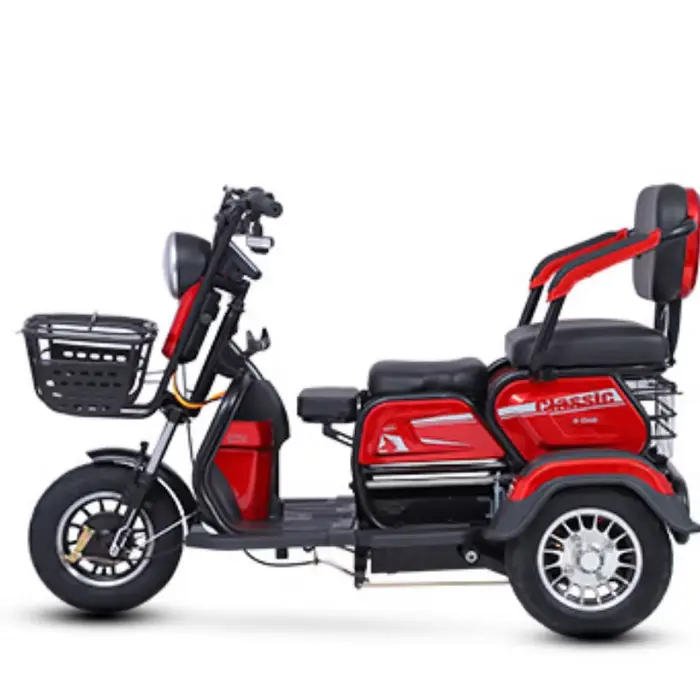 Scooter de mobilité à 3 roues pour adultes, 1000W, 60V, petit Tricycle électrique familial puissant 