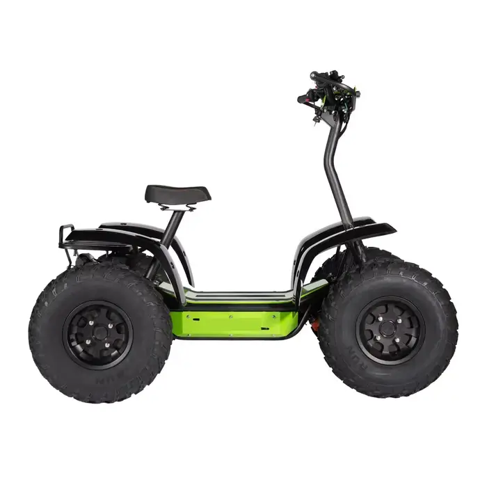 Scooter électrique tout-terrain quatre roues haute puissance 6000W, batterie 50Ah ou 80Ah en option