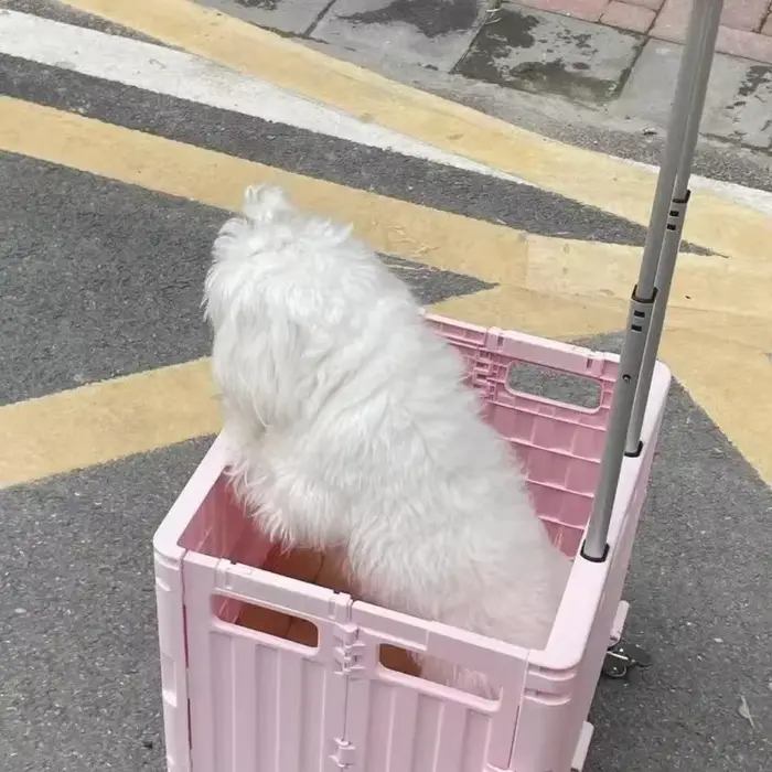 Chariot de courses pliable portable pour supermarché