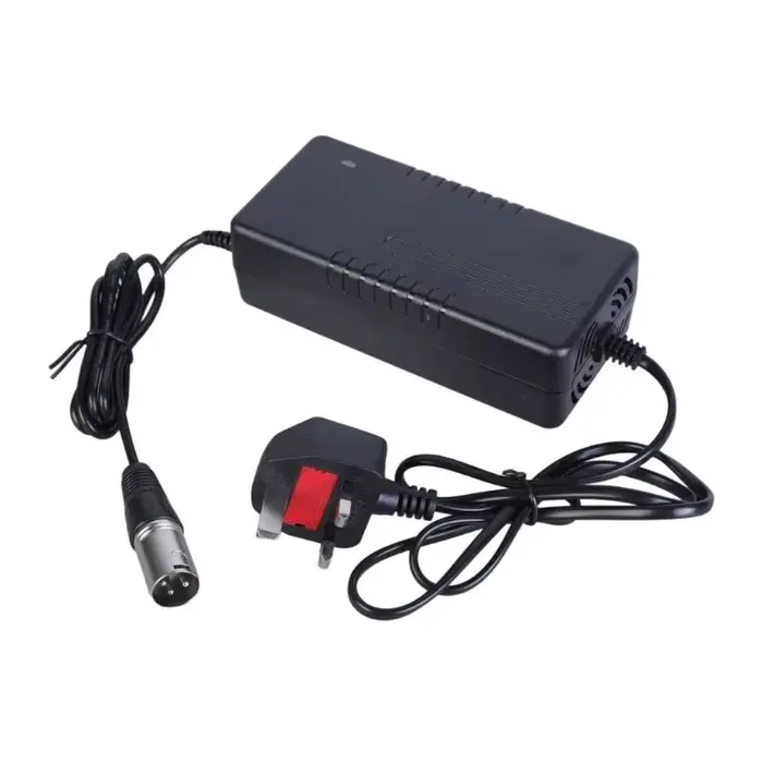 24V 5A charge pour fauteuil roulant électrique et Hoverboard vélo électrique charge professionnelle 