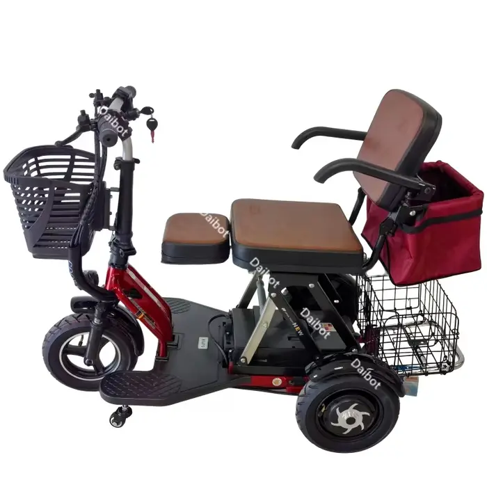 Petit Tricycle électrique à 3 roues, 2 places pour personnes âgées, avec espace de rangement/siège p