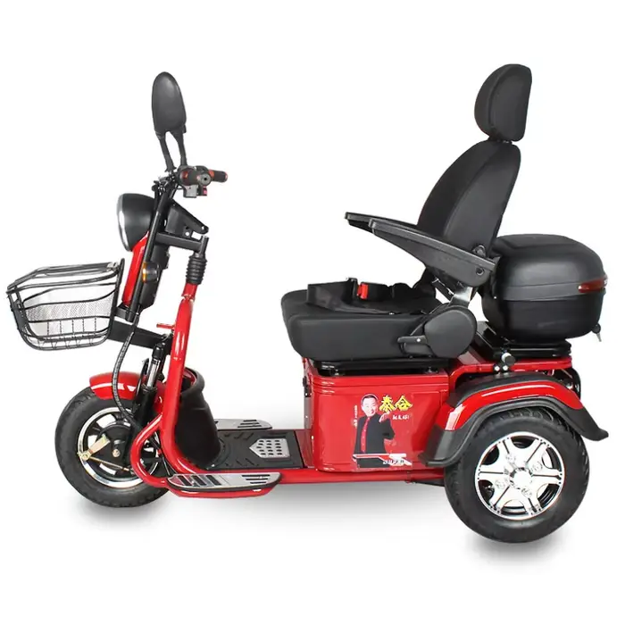 Tricycle électrique pour personnes âgées handicapées, 600W, siège de Scooter électrique tout Terrain