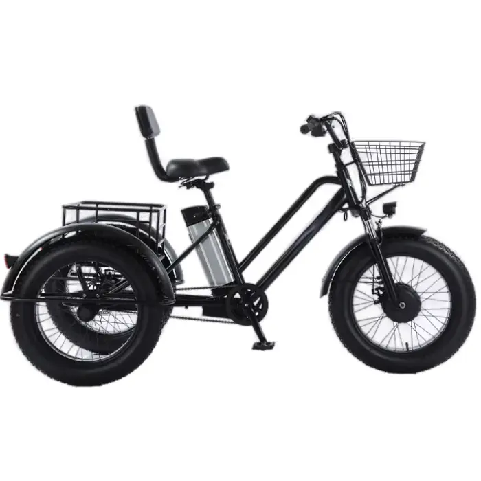 Tricycle électrique assisté par pédale de gros pneu de 20 pouces pour adultes 48V 500W 12AH vélo éle
