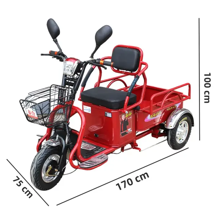 Tricycle électrique puissant à longue portée 1000W