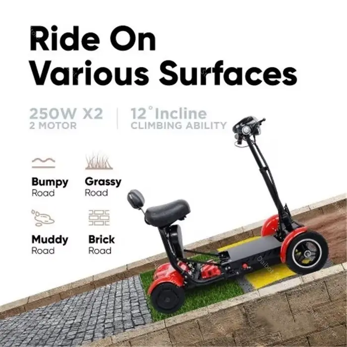 Scooter électrique adulte handicapé Double moteur 500W36V 2 places