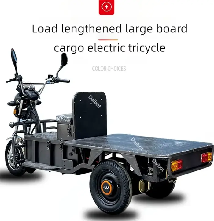 Scooter de mobilité électrique familial à 3 roues adulte tout Terrain pour les longs voyages Tricycle