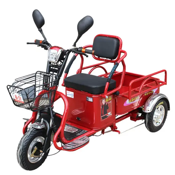 Tricycle électrique adulte à 3 roues pour personnes âgées, batterie au Lithium amovible avec chargem