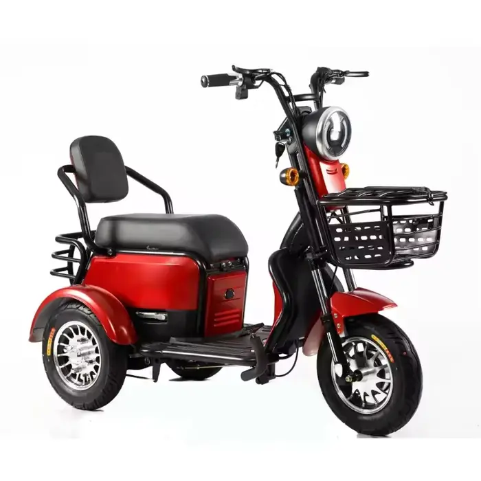 Nouveau Scooter Électrique à 3 Roues de Haute Qualité pour Adultes, Tricycle 48V 20AH 600W avec Pani