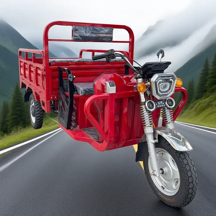Tricycle électrique, tricycle cargo électrique