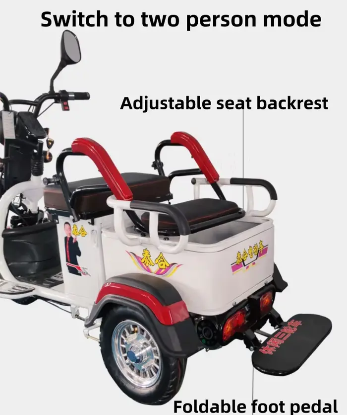 Tricycle électrique à 3 roues pour adultes
