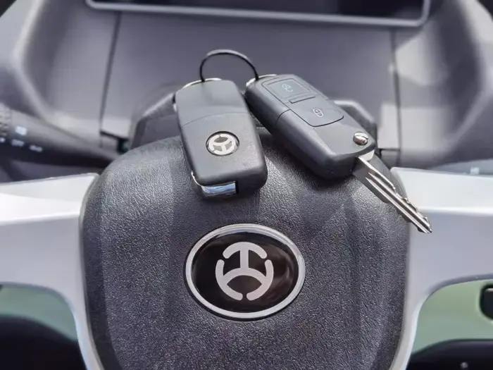 Tricycle électrique 2025 voiture L6e deux sièges Cee 3 roues 1500w 45 km/h cabine Scooter